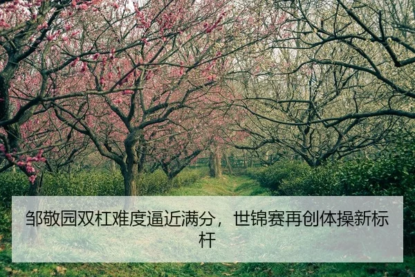 zou-jing-yuan-shuang-gang-nan-du-bi-jin-man-fen-shi-jin-sai-zai-chuang-ti-cao-xin-biao-gan-2-639.jpg
