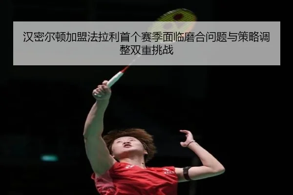 han-mi-er-dun-jia-meng-fa-la-li-shou-ge-sai-ji-mian-lin-mo-he-wen-ti-yu-ce-lve-tiao-zheng-shuang-chong-tiao-zhan-2-667.jpg