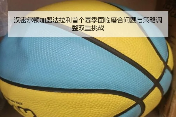han-mi-er-dun-jia-meng-fa-la-li-shou-ge-sai-ji-mian-lin-mo-he-wen-ti-yu-ce-lve-tiao-zheng-shuang-chong-tiao-zhan-3-886.jpg