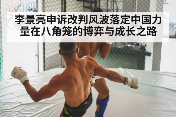 李景亮申诉改判风波落定中国力量在八角笼的博弈与成长之路